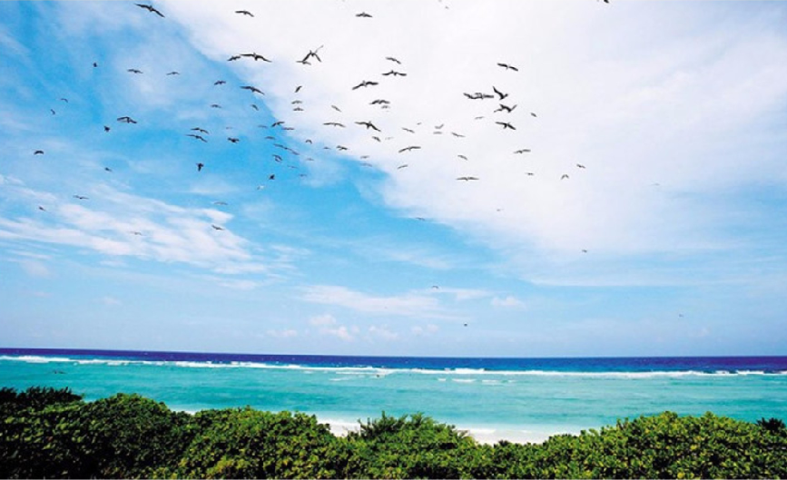 海洋環(huán)境治理系列